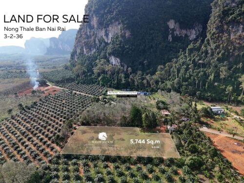 Land Nong Thale 3-2-36