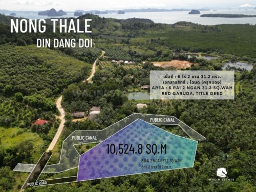 Land Nong Thale 6-2-31.2