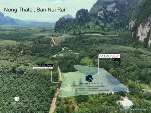 Land Nong Thale 8-1-12