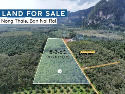 Land Nong Thale 18-3-60