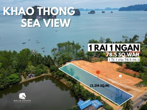 Land Khao Thong 1-1-78.5