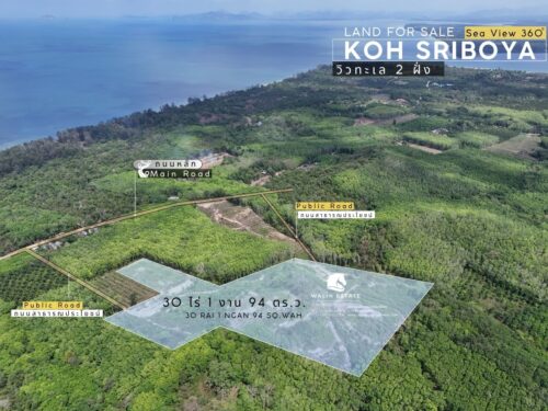 Land Koh Siboya 30-1-94