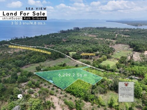 Land Koh Siboya 3-3-74.8