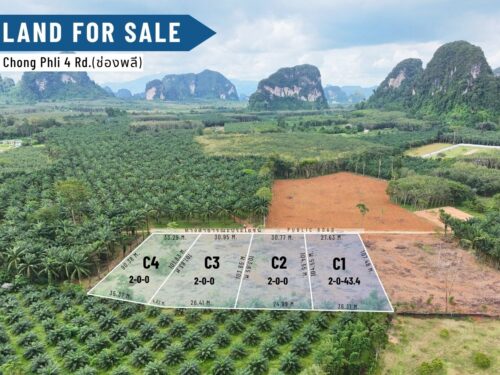 Land Nong Thale 8-0-0